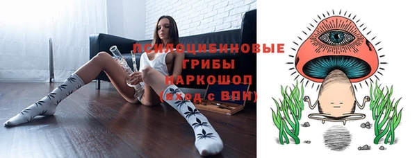 a pvp Абаза