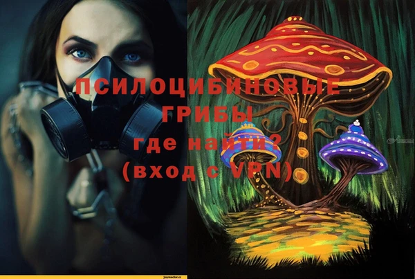 a pvp Абаза
