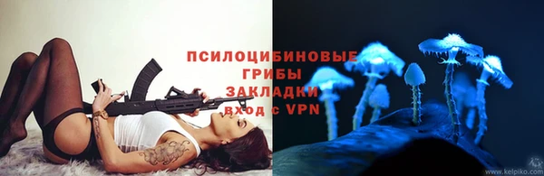 spice Абинск