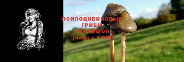a pvp Абаза