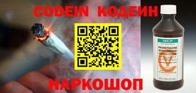 МДПВ Кингисепп