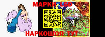 МДПВ Кингисепп