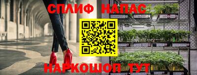 гашик Кинель