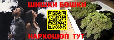 гашик Кинель