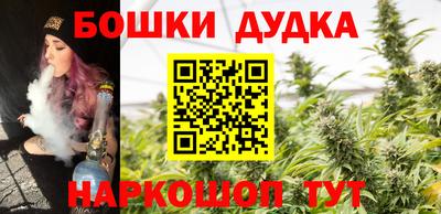 гашик Кинель
