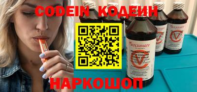 МДПВ Кингисепп