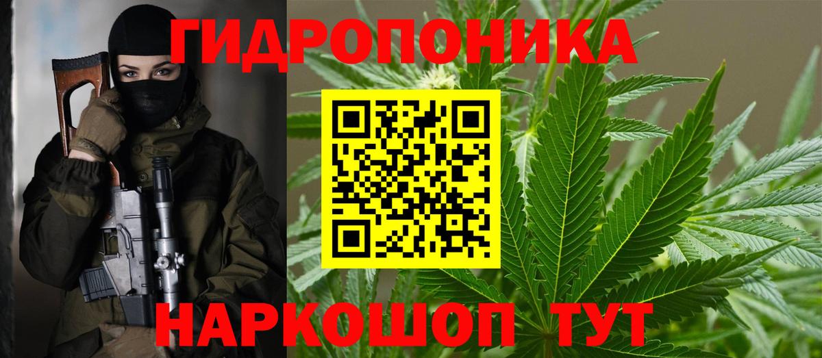 Каннабис индика  Шишки марихуана Ganja  Канабис планчик  Вход с VPN  Уфа 